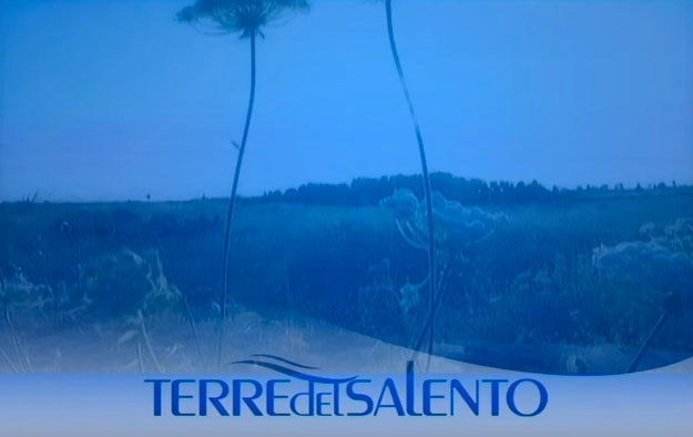 Terre del Salento su TELERAMA – Martano Carpignano