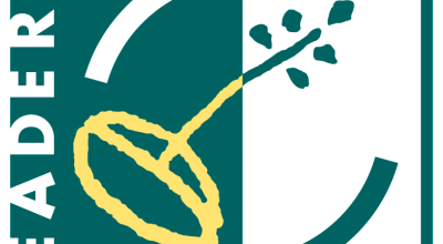 IMPORTANTE !!! – Disposizioni in merito alle norme di transizione da applicare alle domande ammesse agli aiuti