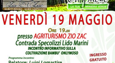 Eco investimenti nel Bamboo gigante