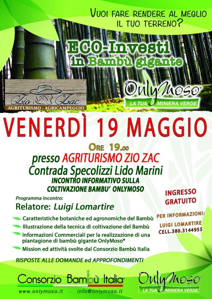 Eco investimenti nel Bamboo gigante