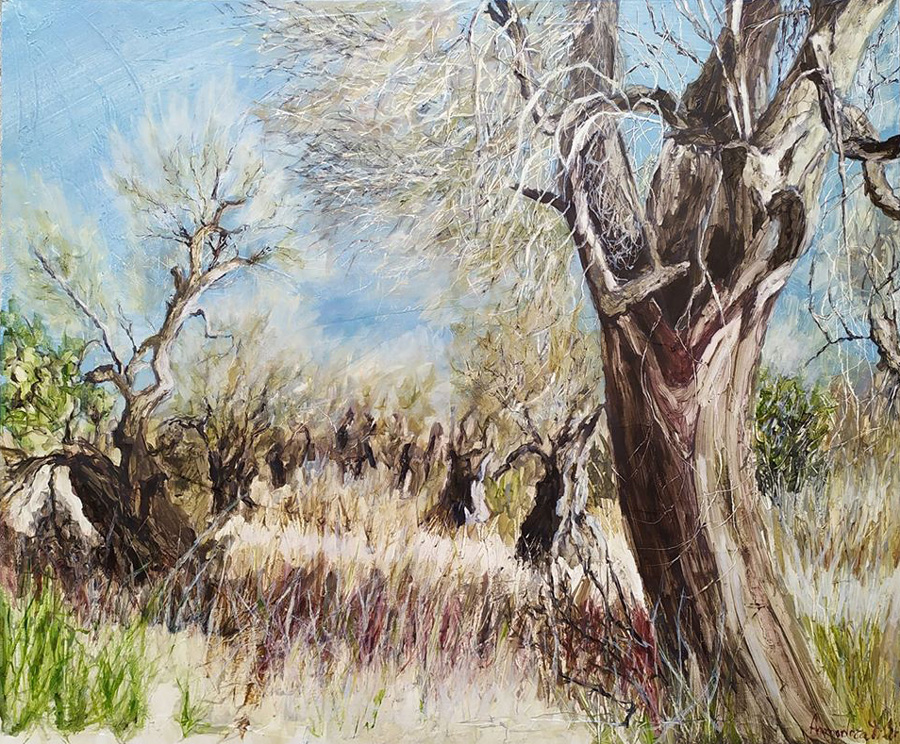 Piano straordinario per la rigenerazione olivicola della Puglia